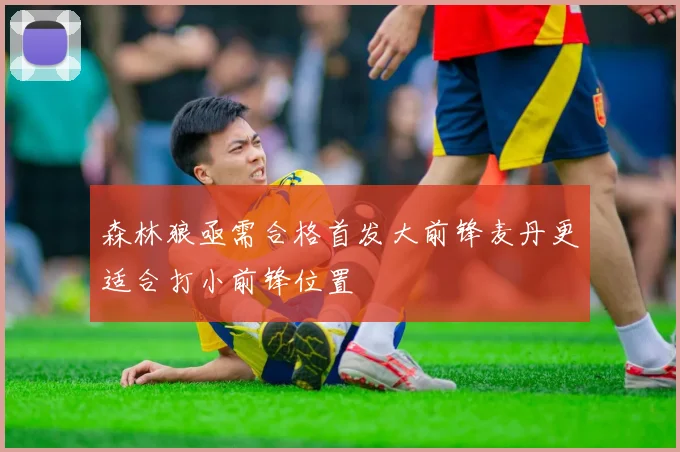 森林狼亟需合格首发大前锋麦丹更适合打小前锋位置